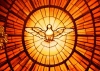 Paloma. Símbolo del Espiíritu Santo, la tercera persona en la que se encarna Dios, enviado tras la venida de Cristo para acompañar a los cristianos 