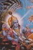 Las innumerables diosas hindúes pueden tomar variedad de formas pero en la mayoría se muestra como consorte de los tres principales dioses.