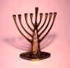 Para celebrar la fiesta de Hanuka, sólo puede usarse una Menora o candelabro de ocho brazos y uno adicional para colocar la vela. Simboliza el triunfo del bien sobre el mal.
